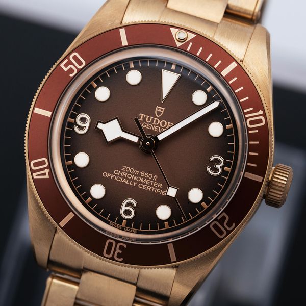 Tudor Black Bay 58 M79012M-0001